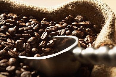 Xbox错误发布 《方舟2》不会在科隆游戏展上提供试玩