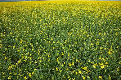 《失忆症：地堡》发售 Steam综合评价“特别好评“